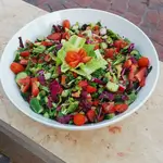 Fresh Salad